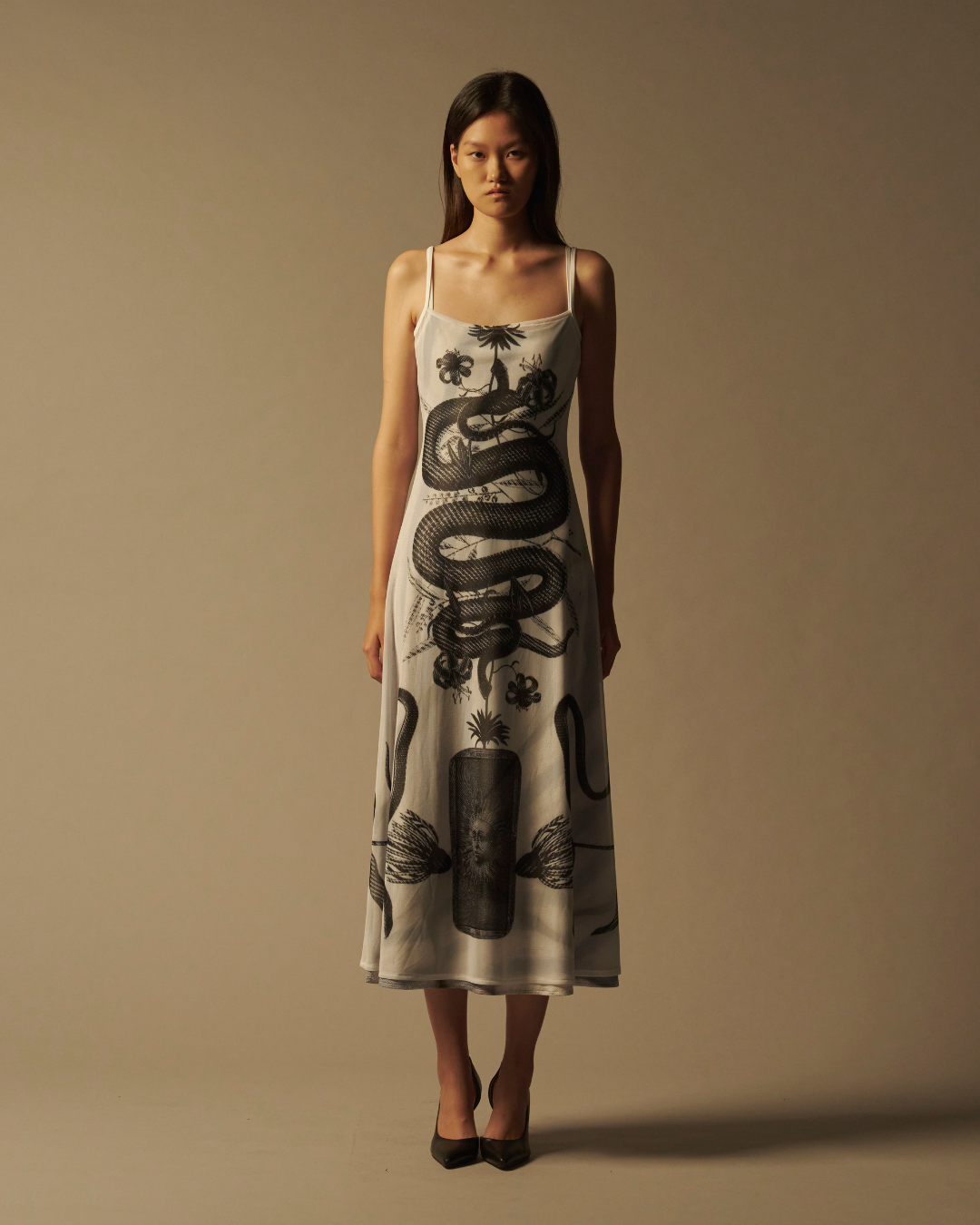 Snake Print Dress – Acceptance Letter