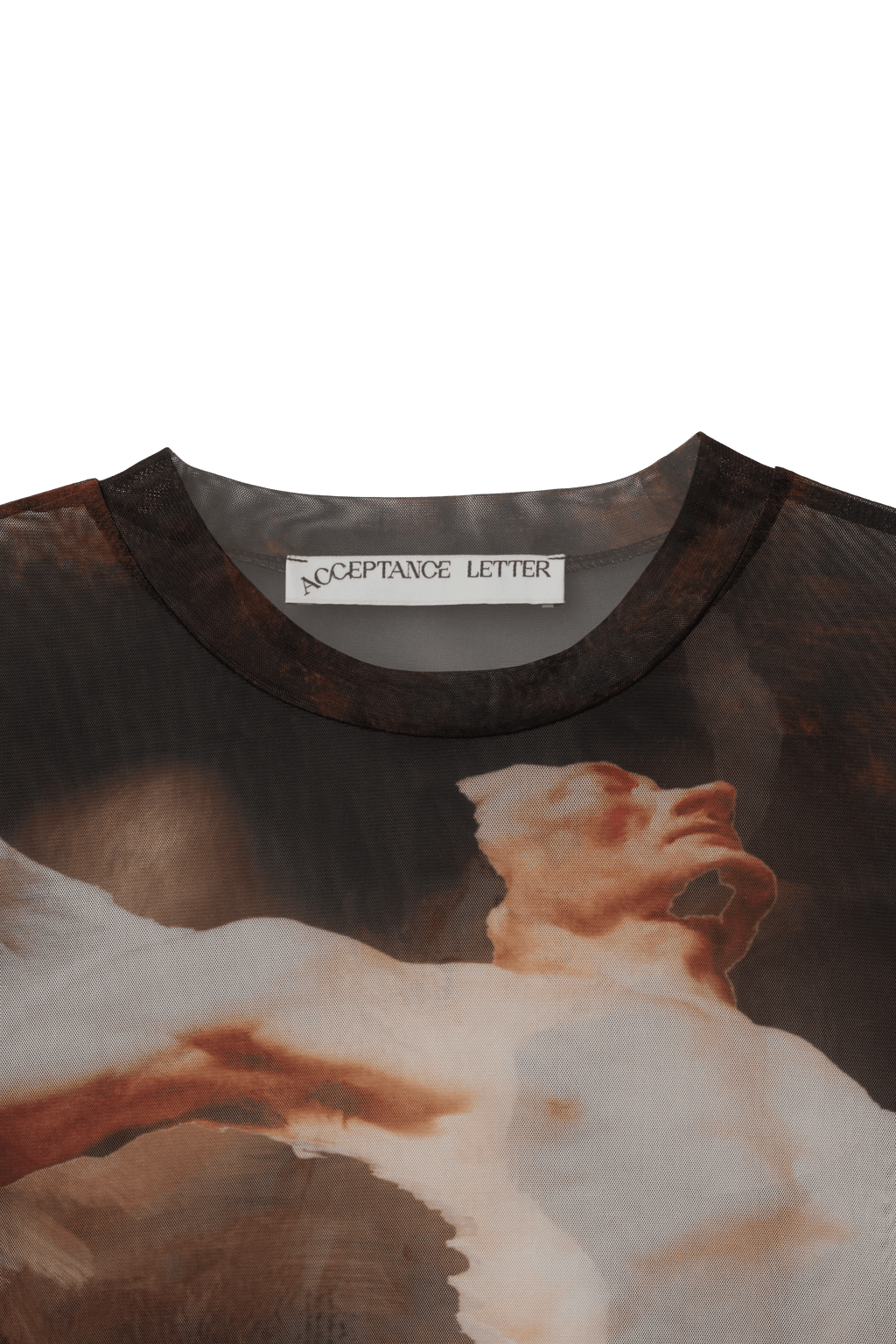 Snooze Long Sleeve Mesh Top